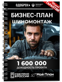 Бизнес-план для социального контракта в 2022 г. Ниша: Услуги шиномонтажа. Форма: ИП.