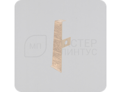 Заглушка торцевая для ПВХ плинтуса Cezar HI-LINE PRESTIGE 281