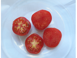 Томат Казабалыкский суперранний