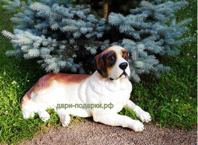 СЕНБЕРНАР 49*80см   6,4кг  полистоун Россия 5489/012323