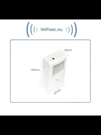 Охранная IP WiFi-LAN видеокамера с ночным видением и аудиоканалом (корпус ИК датчика), встроенный DVR. HD (Pro Ezcam)