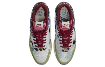 Nike Concepts x Air Max 1 SP Mellow DN1803 300
