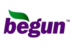 Реклама Begun