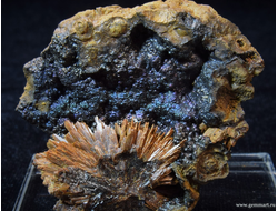 Сантабарбараит и псиломелан в полости породы. 44*37*26мм