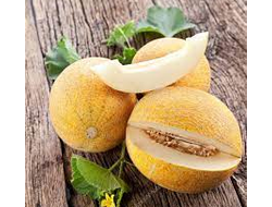 Семена ДЫНИ