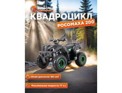 Квадроцикл BAIKAL РОСОМАХА 200 зеленый