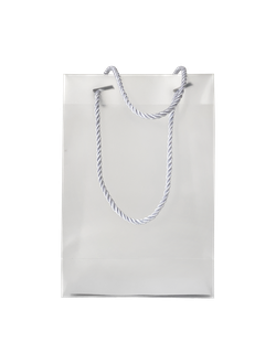 Пакет прозрачный пластик с ручкой, 220*300*100 мм