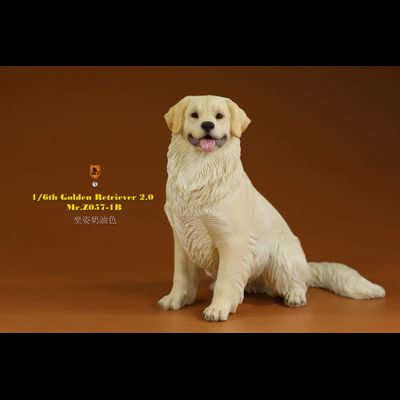 Белый ретривер (сидящий) - Коллекционная ФИГУРКА 1/6 scale Animal Model Golden Retriever 2.0 (MRZ057-1B) - Mr.Z