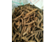 Ганди корень (Homalomena aromatica) 2 г - 100% натуральное эфирное масло