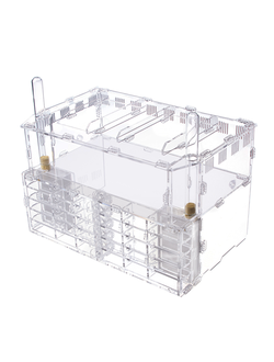 Формикарий 4ants Crystal XL pro + колония Messor Structor