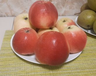 Перлина (жемчужина) Киева