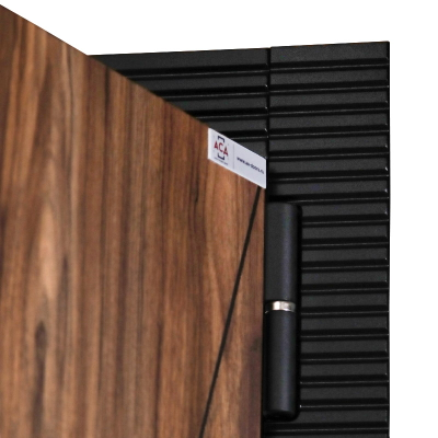 Стальная дверь   Берилл с зеркалом (биометрический замок DZ 888). Заказная модель.