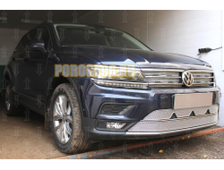 Защита радиатора Volkswagen Tiguan II 2016- chrome низ с камерой PREMIUM