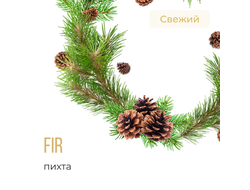 ELEMENT (ВОДА) 25 г. - FIR (ПИХТА)