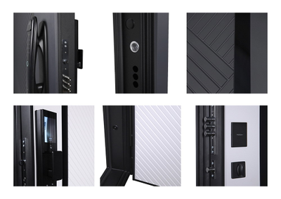 Стальная дверь   Гавана (биометрический замок). Заказная модель.