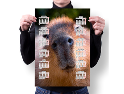 Календарь настенный Капибара, Kapibara-san №65