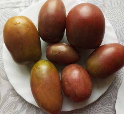 Томат Роксана