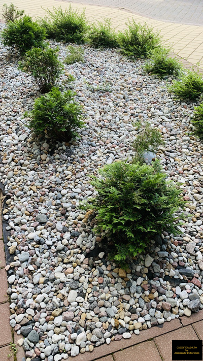 натуральная галька