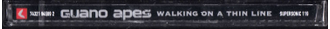 Guano Apes - Walking On A Thin Line купить CD в интернет-магазине "Музыкальный прилавок" в Липецке