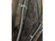 Triangular head