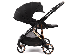 Коляска прогулочная Peppy Amici (Black) рама Gold