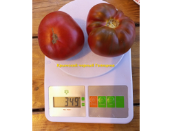 Томат Черный крымский Голицина