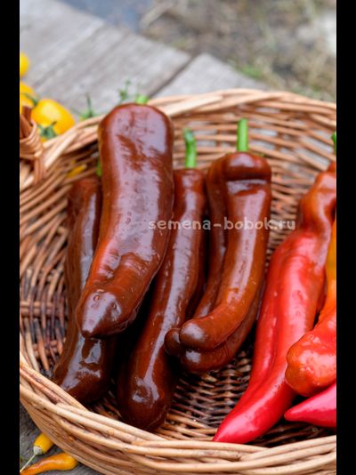 Перец сладкий Палермо Шоколадный, 10 шт