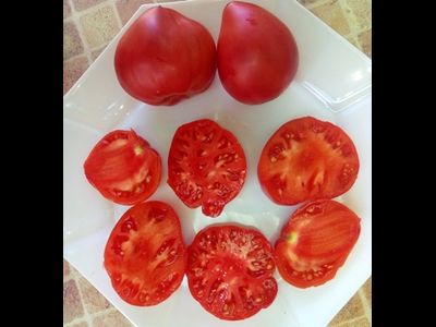 Томат Гном Розовая страсть (Dwarf Pink Passion)