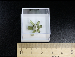 Везувиан кристаллы в пластиковом боксе, Урал, г. Асбест №22325