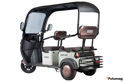 Электротрицикл Rutrike Gelbert Sarin 48V/60V 1000Вт коричнево-белый