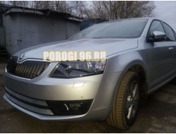 Защита радиатора Skoda Octavia А7 (Ambition, Elegance, Style) 2013-2017 chrome