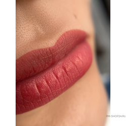 Брови Anna Taranko Alcogolic set для губ в pm-shop24.ru