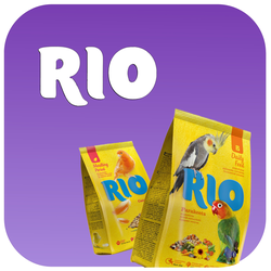 Rio (Рио)