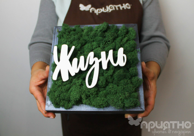 ЖИВАЯ ЭКО-КАРТИНА 1058