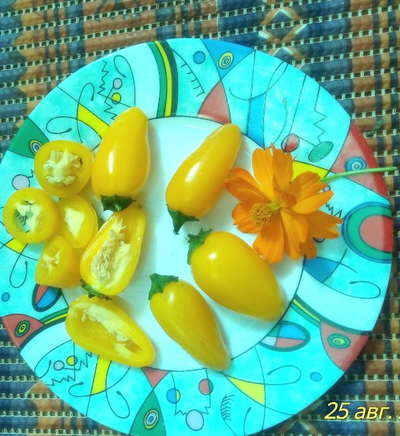 Перец острый Халапеньо желтый (Jalapeno Yellow)