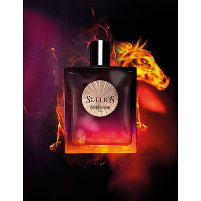 PIERRE GUILLAUME Stallion