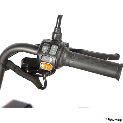 Электротрицикл Wanshida LC-F200 60V 1000Вт красный