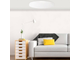 Потолочная лампа Yeelight Xiaomi LED Ceiling Lamp 650 mm (YLXD02YL)