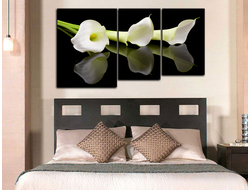 Модульная картина "Белое восхищение"