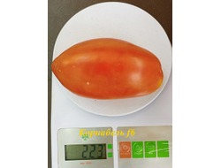 Томат Корнабель F6