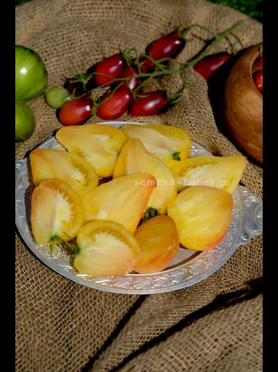 Томат Белое Сердце Софии