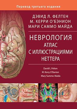 Неврология. Атлас с иллюстрациями Неттера. Д. Л. Фелтен, М. К. О’Бэнион, М. С. Майда. &quot;Издательство Панфилова&quot;. 2018