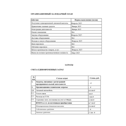 Актуальный под рынок расчет финансового план  (ДДС + ОПУ) для вашего бизнес-проекта