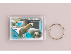 Пластиковый брелок 40х56 мм. - медвежонок из Новосибирского зоопарка | интернет-магазин 2fru.ru