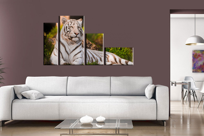 Модульная картина "Белый тигр"
