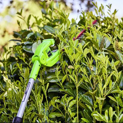 Кусторез штанговый Greenworks G24PH51