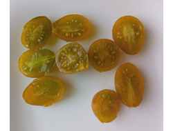 Томат черри Янтарные клавиши (Amber Keyes), США