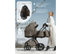 Коляска 2в1 Sweet Baby Orso, Dark Beige (Темный Беж)