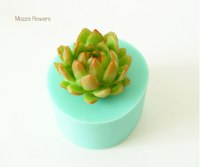 "Большой  суккулент" Силиконовый молд