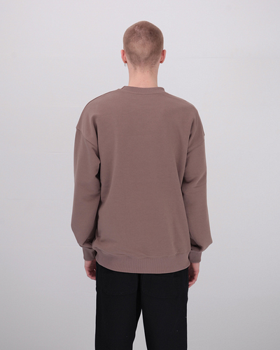 Толстовка Оверсайз Anteater Crewneck Кофейная